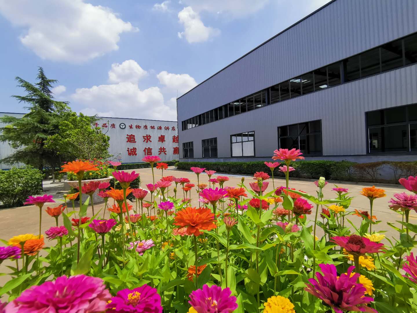 生物質顆粒機生產廠家 生物質顆粒機生產廠家