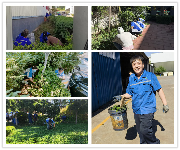 大家清掃、拾撿綠化帶垃圾,清理路邊縫隙死角內的煙頭和雜物.jpg 大家清掃、拾撿綠化帶垃圾,清理路邊縫隙死角內的煙頭和雜物.jpg