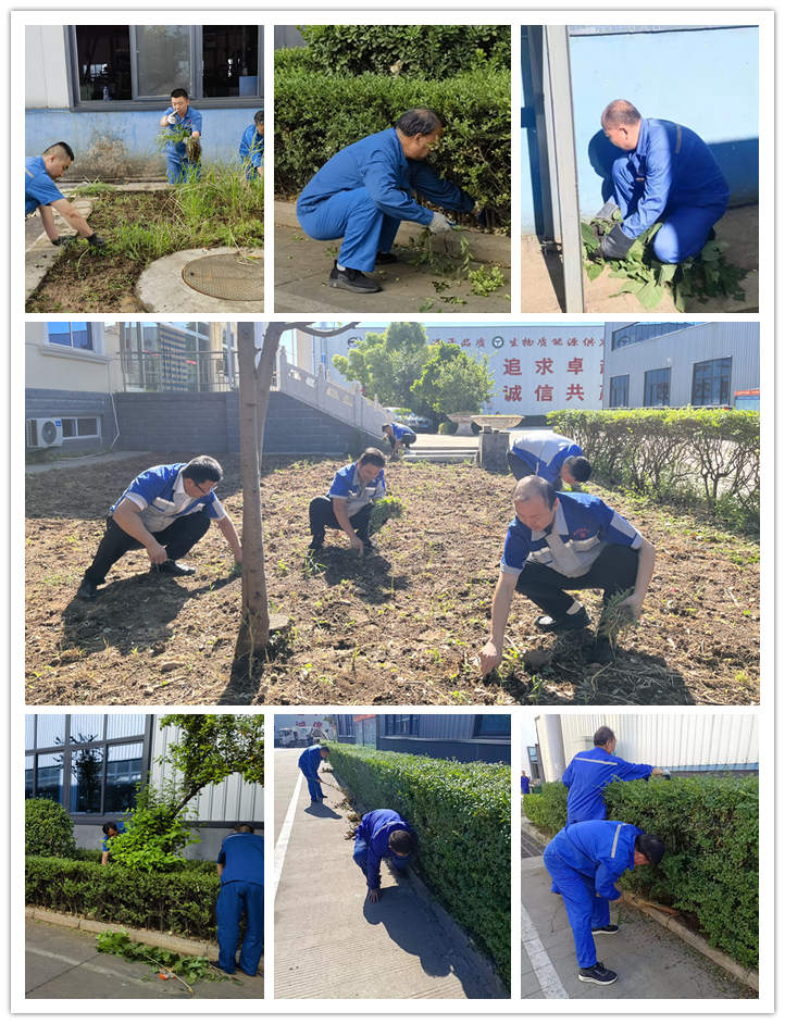 大家清掃、拾撿綠化帶垃圾,清理路邊縫隙死角內的煙頭和雜物.jpg 大家清掃、拾撿綠化帶垃圾,清理路邊縫隙死角內的煙頭和雜物.jpg