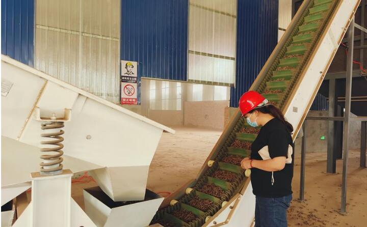 生物質燃料生產過程.jpg 生物質燃料生產過程.jpg